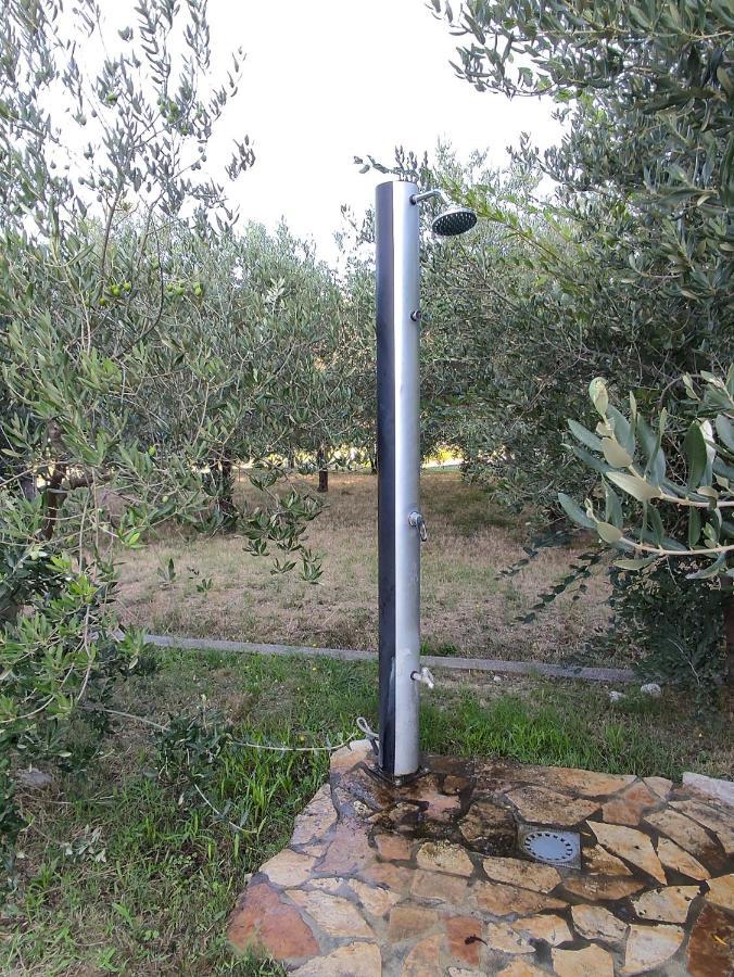 Apartment Arba 1 With Heated Pool Rab Town Extérieur photo